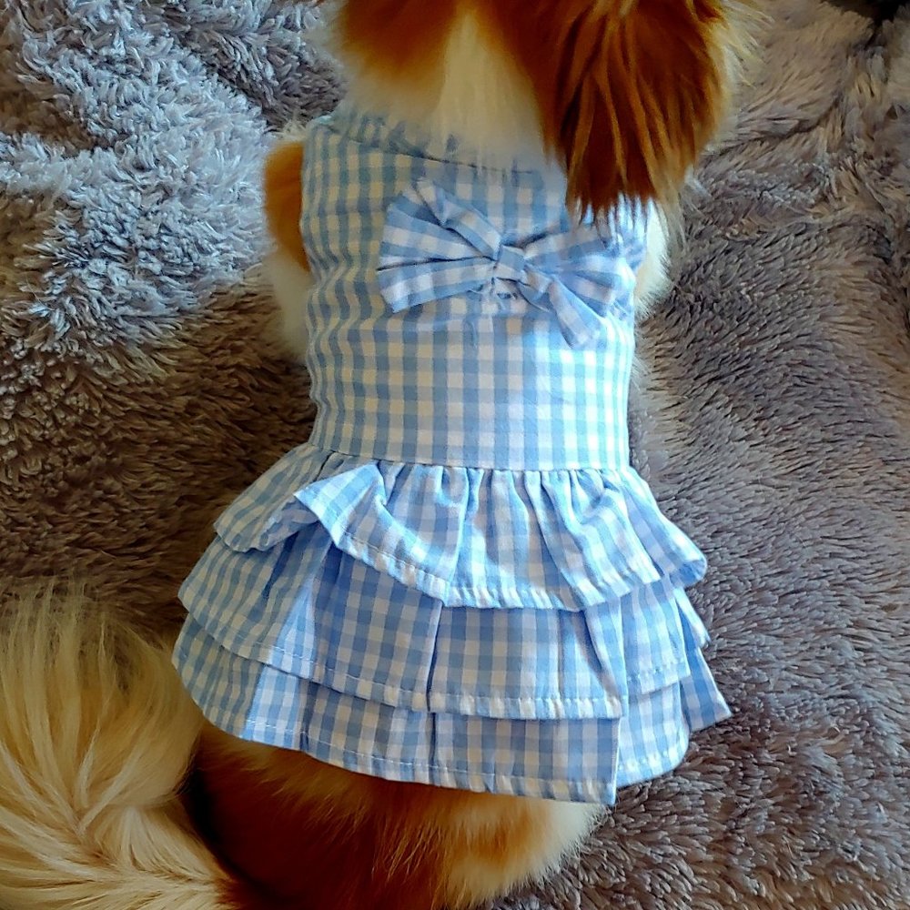 Dress for Pet